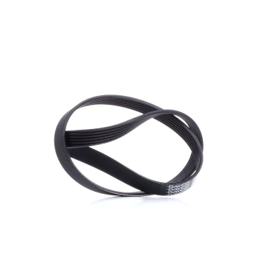 Image of Dayco 6PK975 Poly Rib Belt