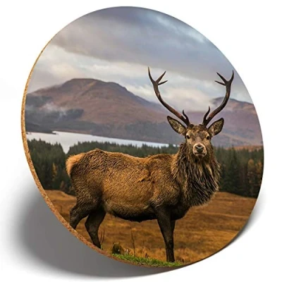 Image of 1 x Majestic Stag Deer Scottish Round Coaster Kitchen Student Kids #14361