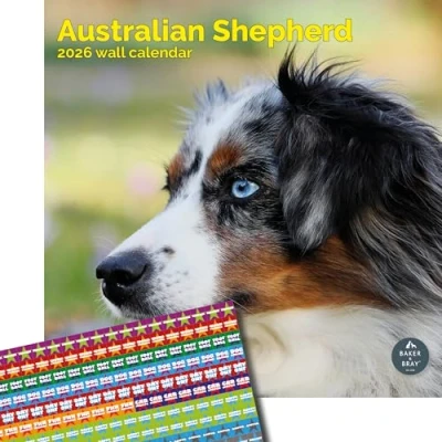 Image of Baker and Bray Australian Shepherd Calendar 2025, Large Square Wall Calendar, 16 Month, Gift Dog Calendar.