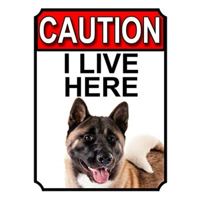 Image of CAUTION I LIVE HERE METAL GATE SIGN AKITA DOG THEME 200MM X 150MM (1367H1)