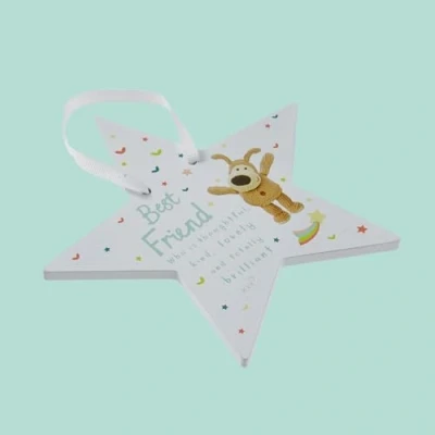 Image of Boofle Best Friend Starry Night Splendour! Plaque Gift Idea