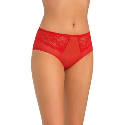 Image of Teyli Women&#039;s Knickers High Waisted Briefs Mesh Panties Floral Lace Vida Red XXL