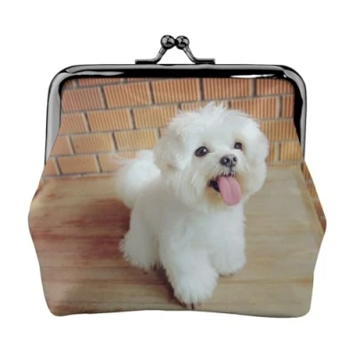 Image of Coin Purse,Purses Wallet Change Pouch Purse Mini Wallets for Women Girls Maltese Dog