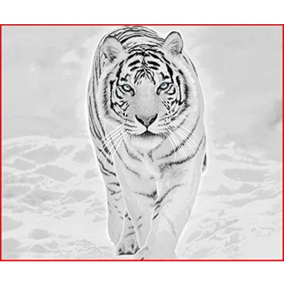 Image of Yorkshire Homeware Animal Pattern Luxury 3D Faux Fur Throws Blankets For Sofa Bed Double King Size (White Tiger, 150 x 200cm)