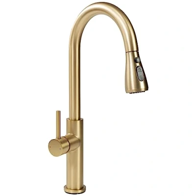 Image of REA B6600 NEST Kitchen Faucet, Brushed Gold