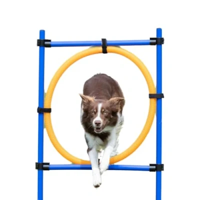 Image of Trixie Dog Activity Agility Ring, 115 ﾗ 3 cm 65 cm, Orange/ Blue
