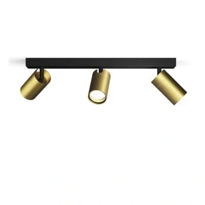 Image of Philips Idris 3 Head spot, GU10 lamp not Included, Brass, IP44, Water Resistant