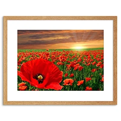 Image of Wee Blue Coo PHOTO LANDSCAPE POPPY FIELD SUN RISE RED FLOWER BEAUTIFUL FRAMED PRINT F97X4225