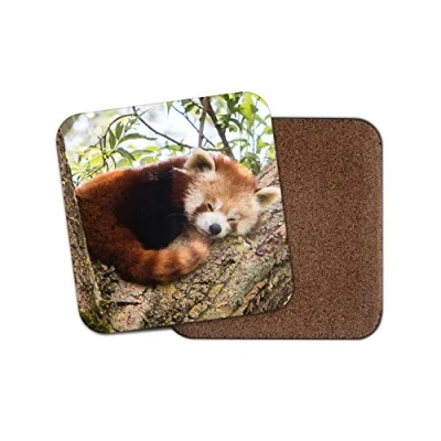 Image of 1 x Cute Lesser Red Panda Coaster Tree Bear Mum Auntie Sister Fun #14217