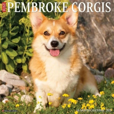 Image of Pembroke Corgis 2025 Wall