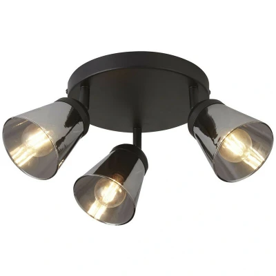 Image of Mega 3 Light Round Spotlight, Black Metal With Smoked Glass