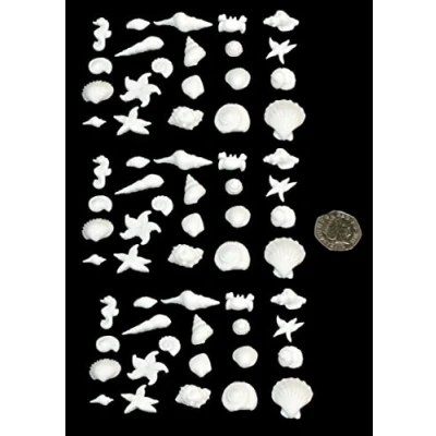 Image of 60 x edible 3D seashells sea shells, icing toppers, cake cupcakes decorations (Ice White)