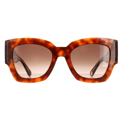 Image of Tommy Hilfiger TH 1862/S C9B HAVANA HONEY 51/21/140 WOMAN Sunglasses