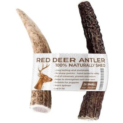 Image of Two Antler Chews for Puppies, Small, Sustainable, Naturally Shed, Antlers Dogs Deer Dogs, Puppy Chews, Small Dog Toys, Treats, Chew
