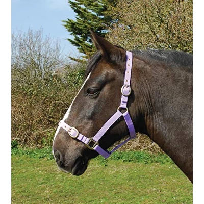 Image of Rhinegold Nylon Headcollar Shetland Lilac