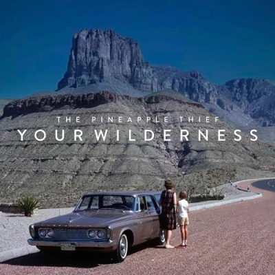 Image of The Pineapple Thief Your Wilderness 2019 UK CD album KSCOPE645