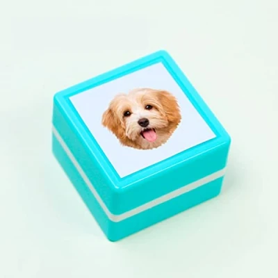 Image of Custom Pet Stamp Self Inking Gifts for Lover,Custom Stamp,Custom Portrait Stamp,Personalised Ink (Green,Simple Model 1)