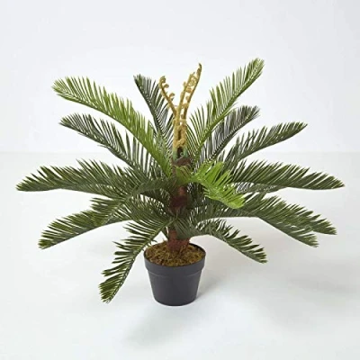 Image of HOMESCAPES Sago Palm Tree Artificial Cycas Plant Home Office Indoor Decorative Green 75 cm (2.5 ft) with Black Pot