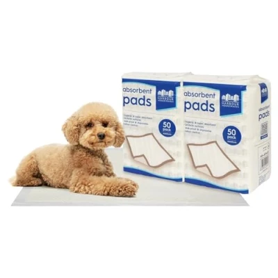 Image of Disposable Incontinence Bed Pads 60cm x 89cm Pack of 30 By Harbour Housewares