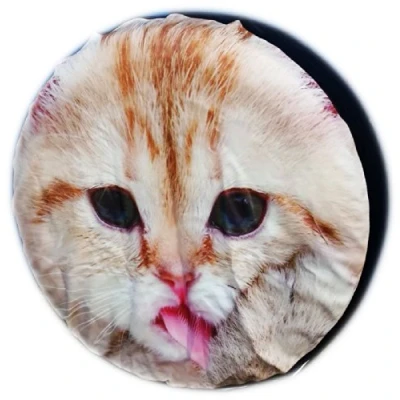 Image of WHEEL COVER WHEELCOVER SPARE TYRE TIRE 4X4 CAT