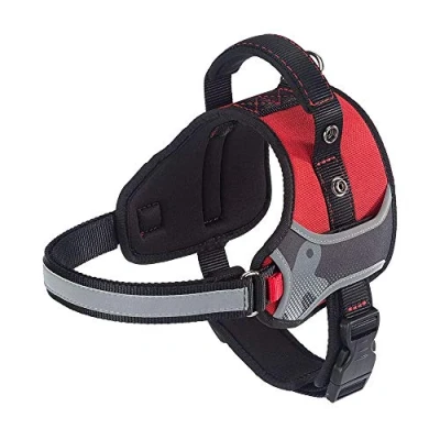 Image of Dog Harness HERCULES EXTRA SMALL, Adjustable, Padded, Resistant, Scratchproof, Visible in the Dark, with Handle