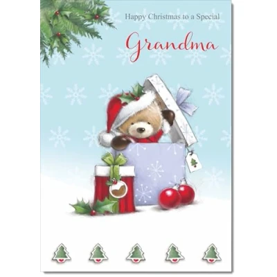 Image of doodlecards Grandma Christmas Card Cute Bear Parcel Large A4 Size for with Plain Envelope