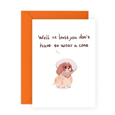 Image of Central 23 Get Well Soon Card &#039;Dog Wearing Cone&#039; Sweet Recovery Gifts For Men And Women Dad Mum Daughter Son Friends Comes With Stickers