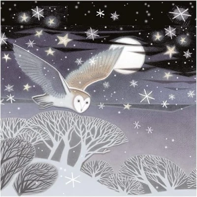Image of Museums and Galleries Charity Christmas Cards Pack of 8 with Owl Moon Design Eco Friendly Xmas Multipack Envelopes