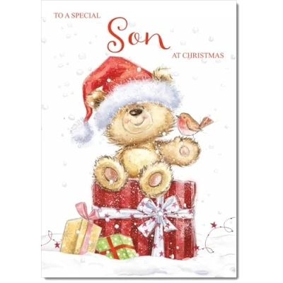 Image of doodlecards Son Christmas Card Cute Bear on Parcel Medium Size for with Plain Envelope
