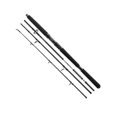 Image of Daiwa BG Travel Pilk 2,70m 50 200g Sea fishing rod