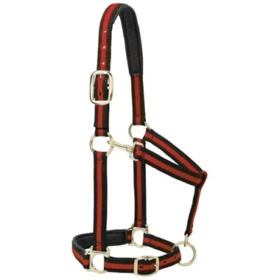 Image of Weaver Leather Nylon Horse Halter, Padded and Adjustable, Chin Throat Snap Hook Halters for Horses, Brass Plated Training