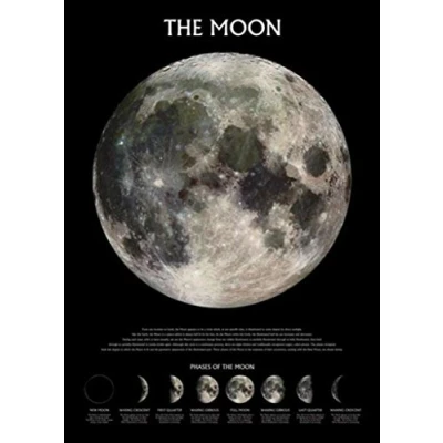 Image of Pyramid International &quot;Phases The Moon Maxi Poster, Multi Colour, 61 x 91.5 1.3 cm