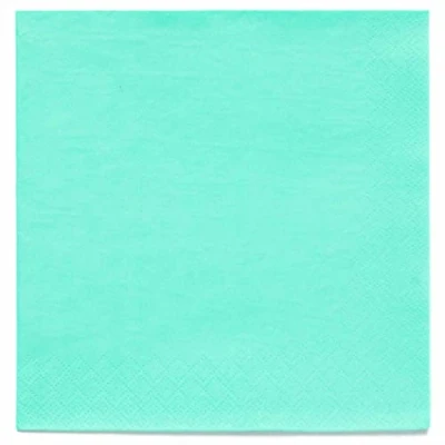 Image of Amscan 9915402 207 Pastel Mint Green Eco Friendly Compostable Luncheon Napkins 20 Pack