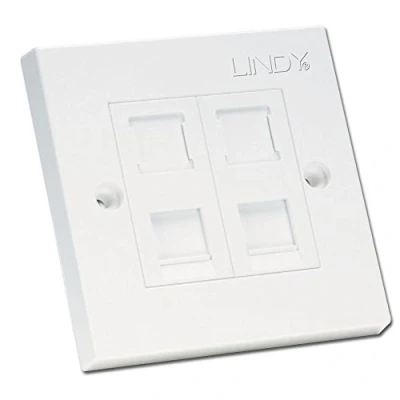 Image of LINDY CAT5e Single Wall Plate with 2 x RJ 45 Shuttered Socket Unshielded