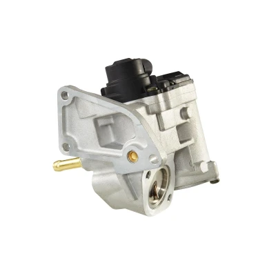 Image of 03C131503B EGR valve HELLA 6NU 010 171 811 Electric with gaskets/seals VOLKSWAGEN: Golf 5, Passat B6 Saloon, Plus / Crossgolf