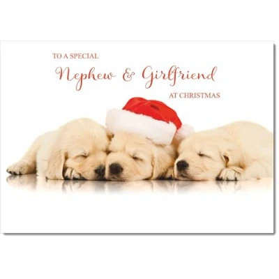 Image of doodlecards Nephew &amp; Girlfriend Christmas Card Puppies with Santa Hat Medium Size Plain Envelope