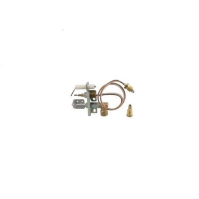 Image of Valor Natural Gas Pilot and ODS Assembly 540979