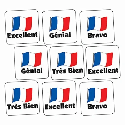 Image of 700 Mixed Phrase French Language Square School Praise Teachers Reward Stickers 16mm Primary Teaching Services