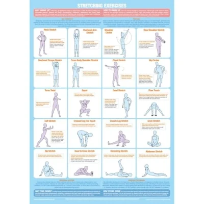 Image of Exercise Poster Stretching Warm Up Cool Down Chart (A1 Paper Format)