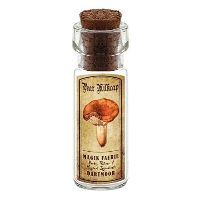 Image of MyTinyWorld Dolls House Apothecary Pear Milkcap Fungi Bottle And Colour Label