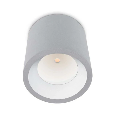 Image of Cosmos LED 1 Light Outdoor Surface Mounted Ceiling Grey IP65