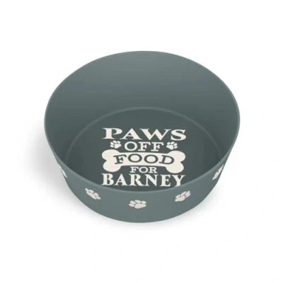 Image of Personalised Dog Bowl (Barney)