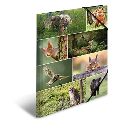 Image of HERMA 19451 Portfolio Folder DIN A3 Animal Worlds Forest Animals Set of 3 Sturdy Cardboard Organiser with Full Inner Print and Elastic Band, Document for Children, Boys Girls