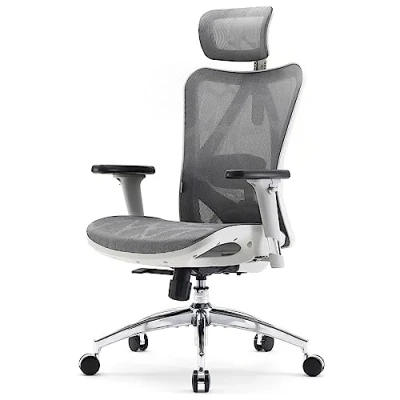 Image of SIHOO Ergonomic Office Chair Mesh Desk with Adjustable Lumbar Support 3D Armrests Breathable High Back Computer (Light Gray)