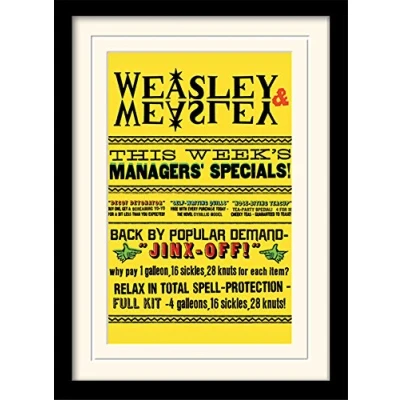 Image of Harry Potter Mounted and Framed Print, Weasley Specials, 30 x 40 cm