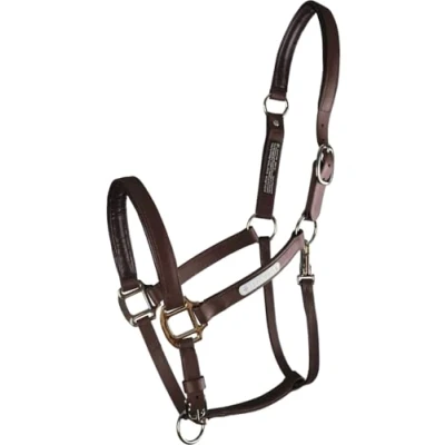 Image of equilibrium Stellar All Weather Safety Headcollar (Brown, L)