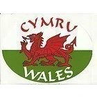Image of Cymru Wales Welsh Red Dragon Flag Oval External Car Bumper Sticker Decal