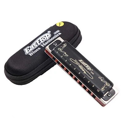 Image of 10 hole 20 tone T008k Black Harmonica Blues Diatonic Mouth Organ F Tune is Suitable for Adults, Professionals, Beginners, Students and Children Standard Instruments