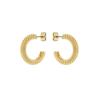 Image of Ted Baker Dotetta Dotty Hoop Earrings For Women (Gold Tone/Plain Metal)
