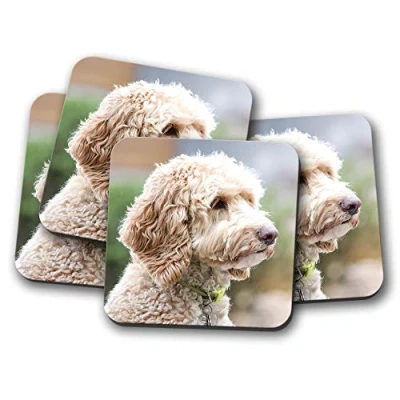 Image of 4 Set Cute Labradoodle Coaster Labrador Poodle Dog Puppy Animals #15534